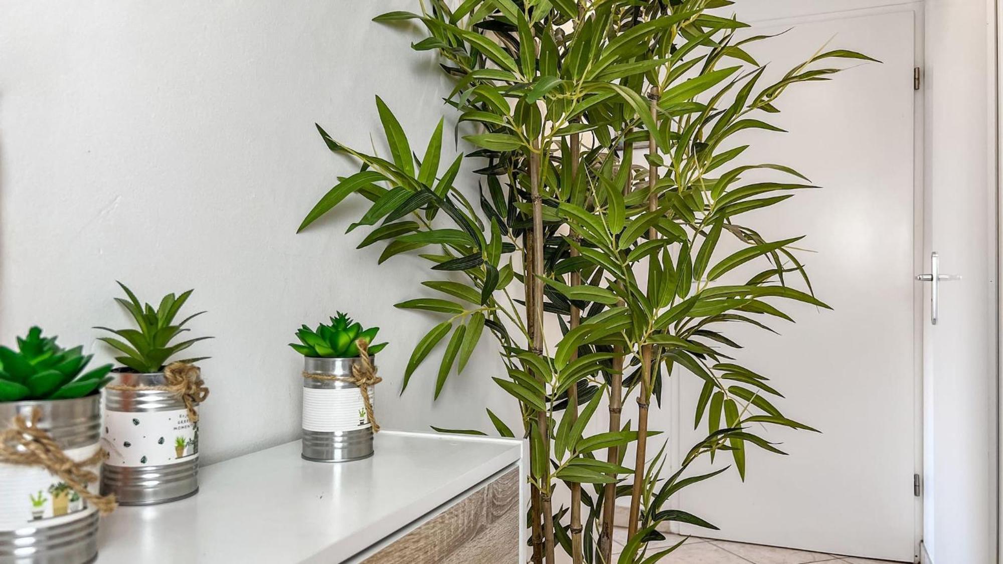 Homey Precioso - Terrasse Privee - Wifi Et Netflix Apartment